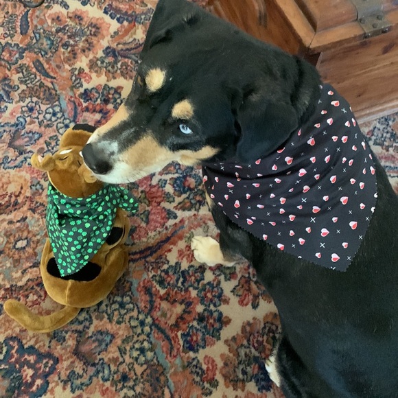 Other - COPY - St. Patrick’s and Valentines Sm. and Lrg Pet Scarves (price is for two …